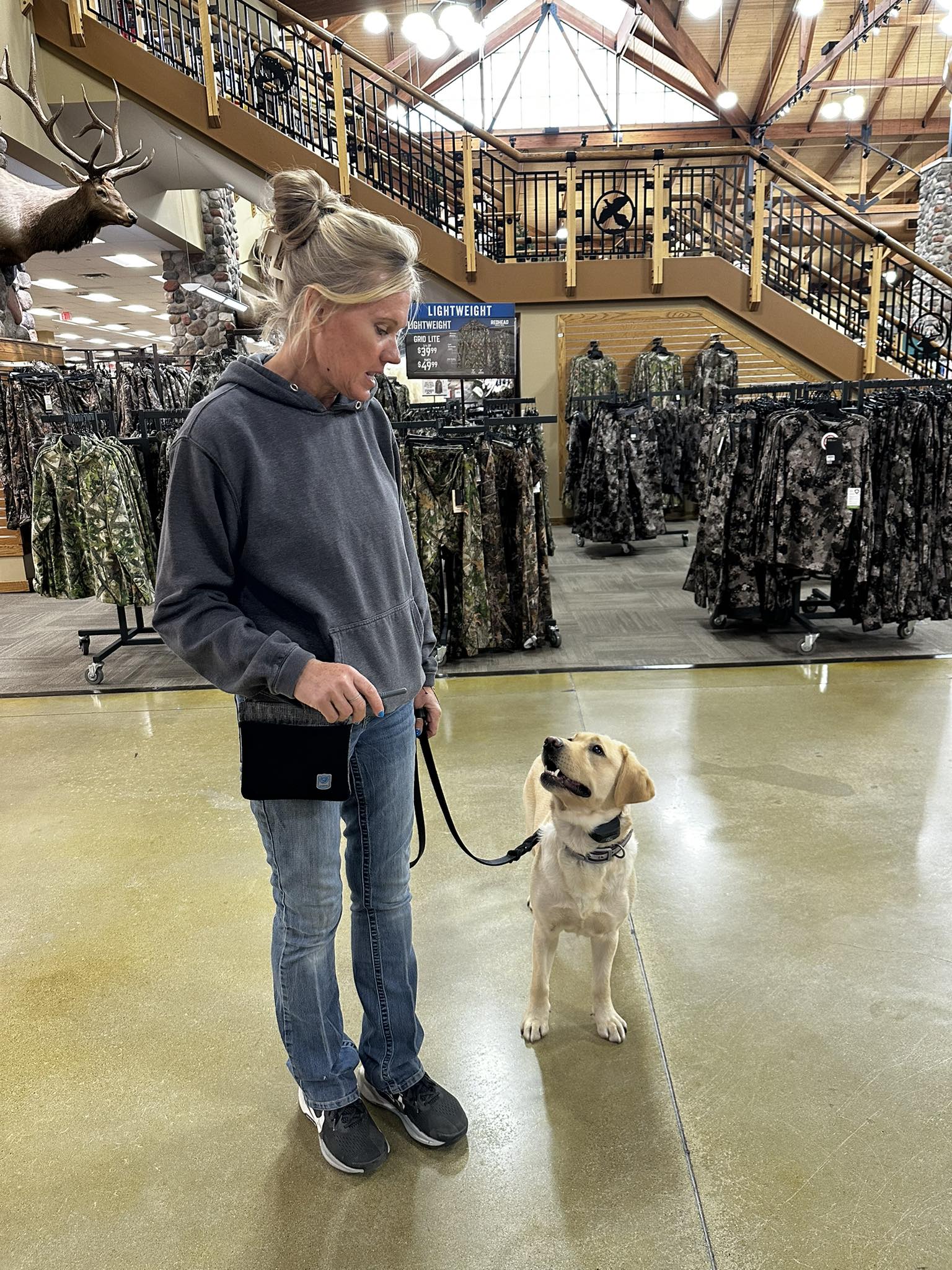 Professional dog training with Steppin Stone Dog Training