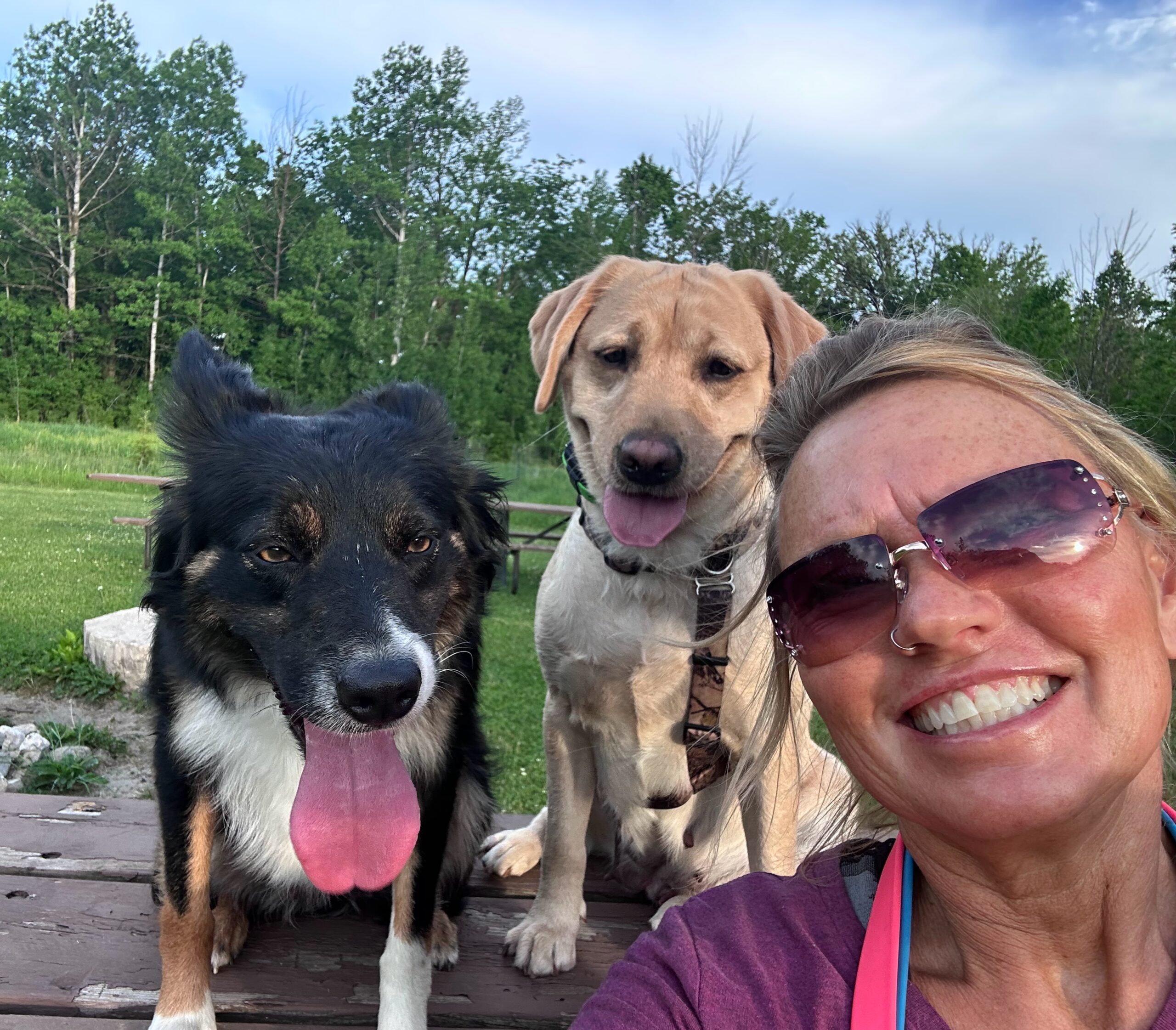 Michelle with two trained dogs during a real-world obedience session near Roscoe, Illinois